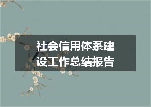 社会信用体系建设工作总结报告