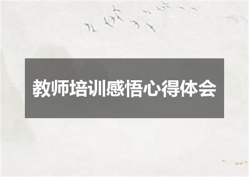 教师培训感悟心得体会
