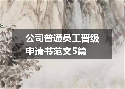 公司普通员工晋级申请书范文5篇