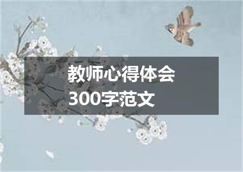 教师心得体会300字范文
