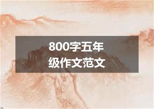 800字五年级作文范文