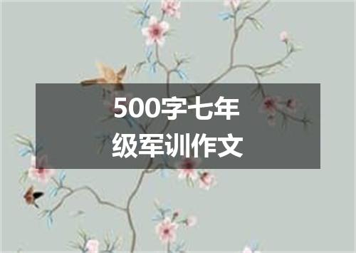500字七年级军训作文