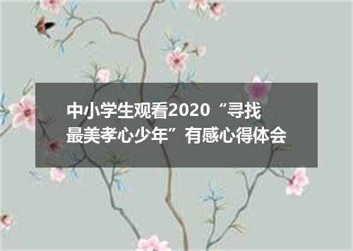 中小学生观看2020“寻找最美孝心少年”有感心得体会
