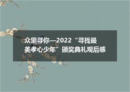众里寻你—2022“寻找最美孝心少年”颁奖典礼观后感