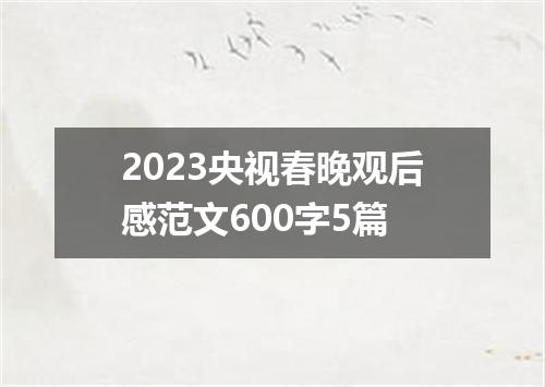 2023央视春晚观后感范文600字5篇