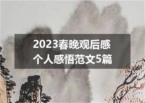 2023春晚观后感个人感悟范文5篇