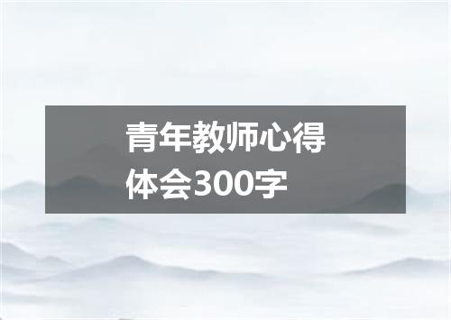 青年教师心得体会300字
