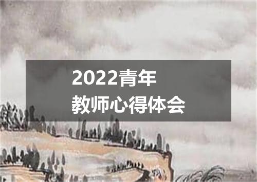 2022青年教师心得体会