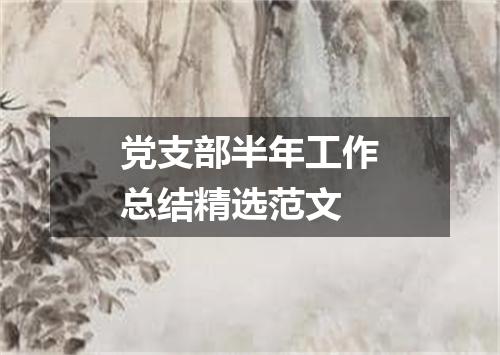 党支部半年工作总结精选范文