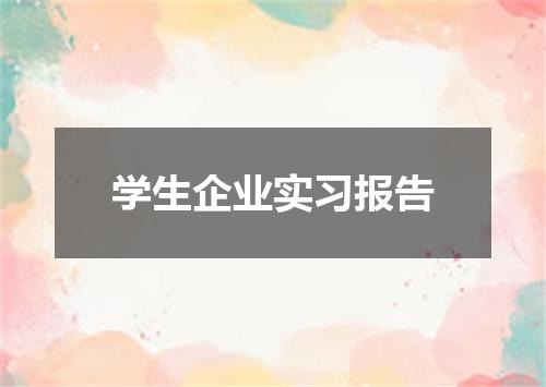 学生企业实习报告