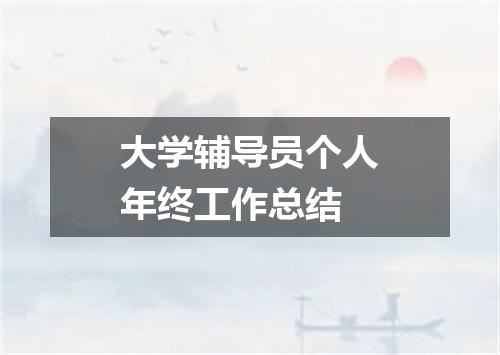 大学辅导员个人年终工作总结