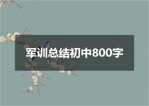 军训总结初中800字