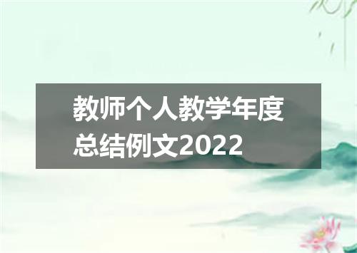 教师个人教学年度总结例文2022