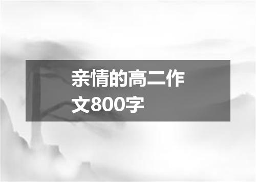 亲情的高二作文800字