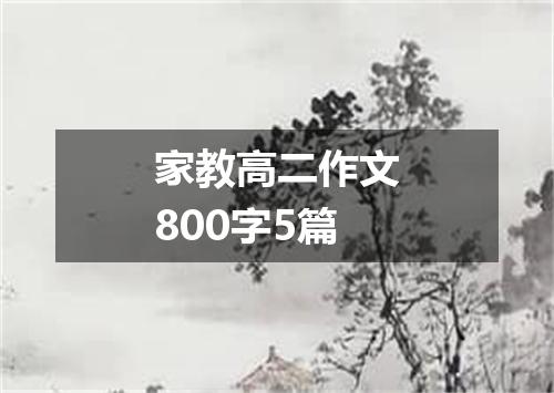 家教高二作文800字5篇