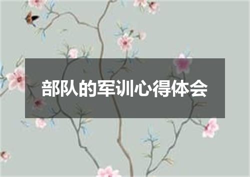部队的军训心得体会