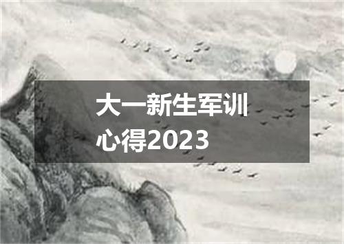 大一新生军训心得2023