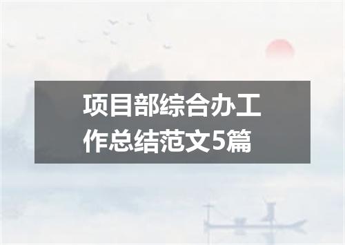项目部综合办工作总结范文5篇