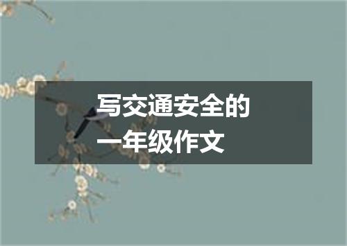 写交通安全的一年级作文