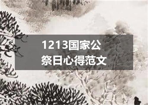 1213国家公祭日心得范文