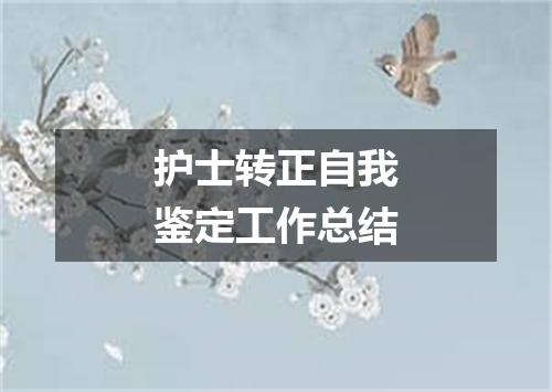 护士转正自我鉴定工作总结