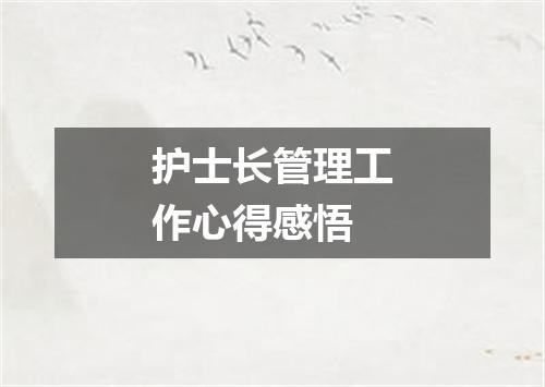 护士长管理工作心得感悟