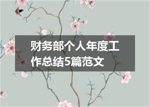 财务部个人年度工作总结5篇范文
