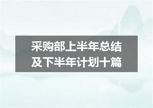 采购部上半年总结及下半年计划十篇