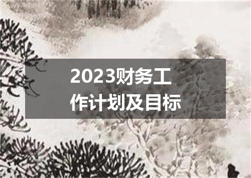 2023财务工作计划及目标