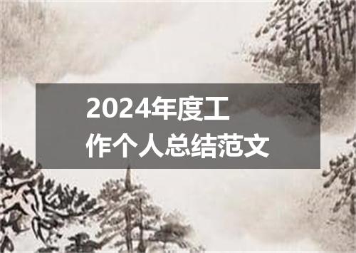 2024年度工作个人总结范文