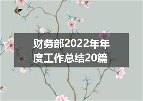 财务部2022年年度工作总结20篇