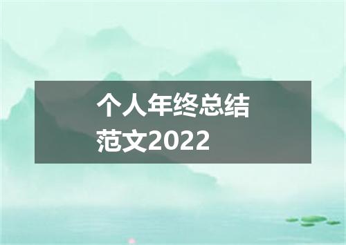 个人年终总结范文2022