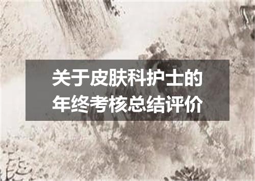 关于皮肤科护士的年终考核总结评价