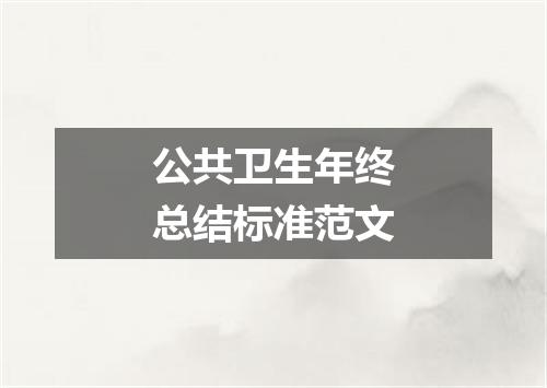 公共卫生年终总结标准范文