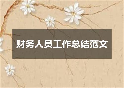 财务人员工作总结范文