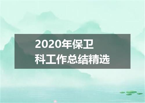 2020年保卫科工作总结精选