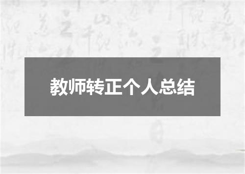 教师转正个人总结