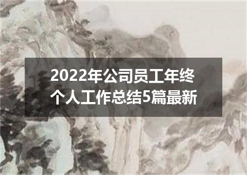 2022年公司员工年终个人工作总结5篇最新