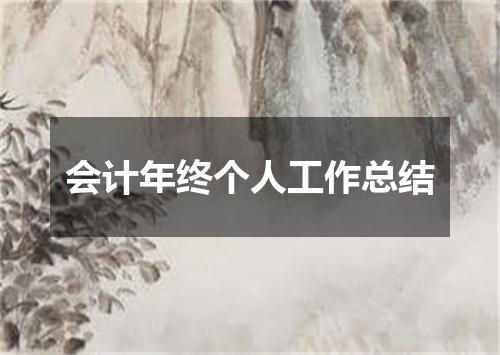会计年终个人工作总结