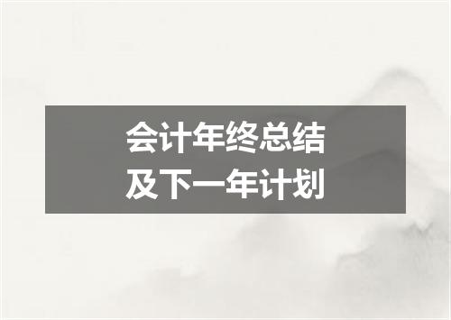 会计年终总结及下一年计划