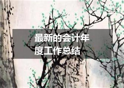 最新的会计年度工作总结