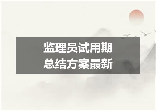 监理员试用期总结方案最新
