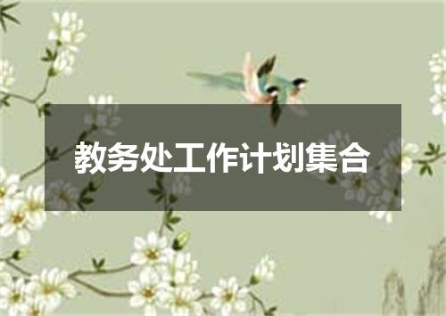 教务处工作计划集合