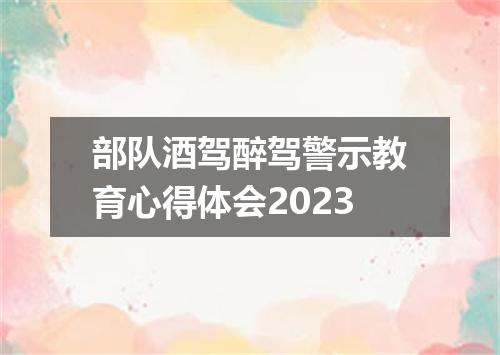 部队酒驾醉驾警示教育心得体会2023