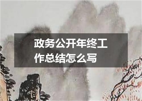 政务公开年终工作总结怎么写