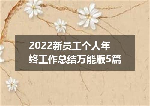 2022新员工个人年终工作总结万能版5篇