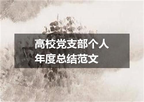 高校党支部个人年度总结范文