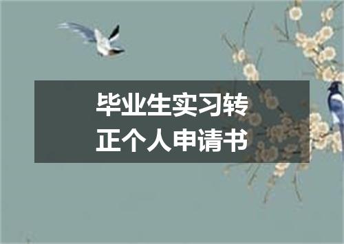 毕业生实习转正个人申请书