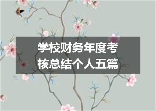学校财务年度考核总结个人五篇