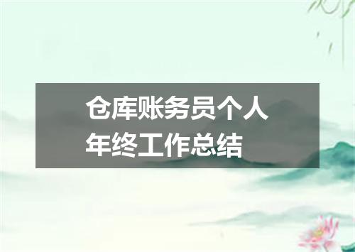 仓库账务员个人年终工作总结